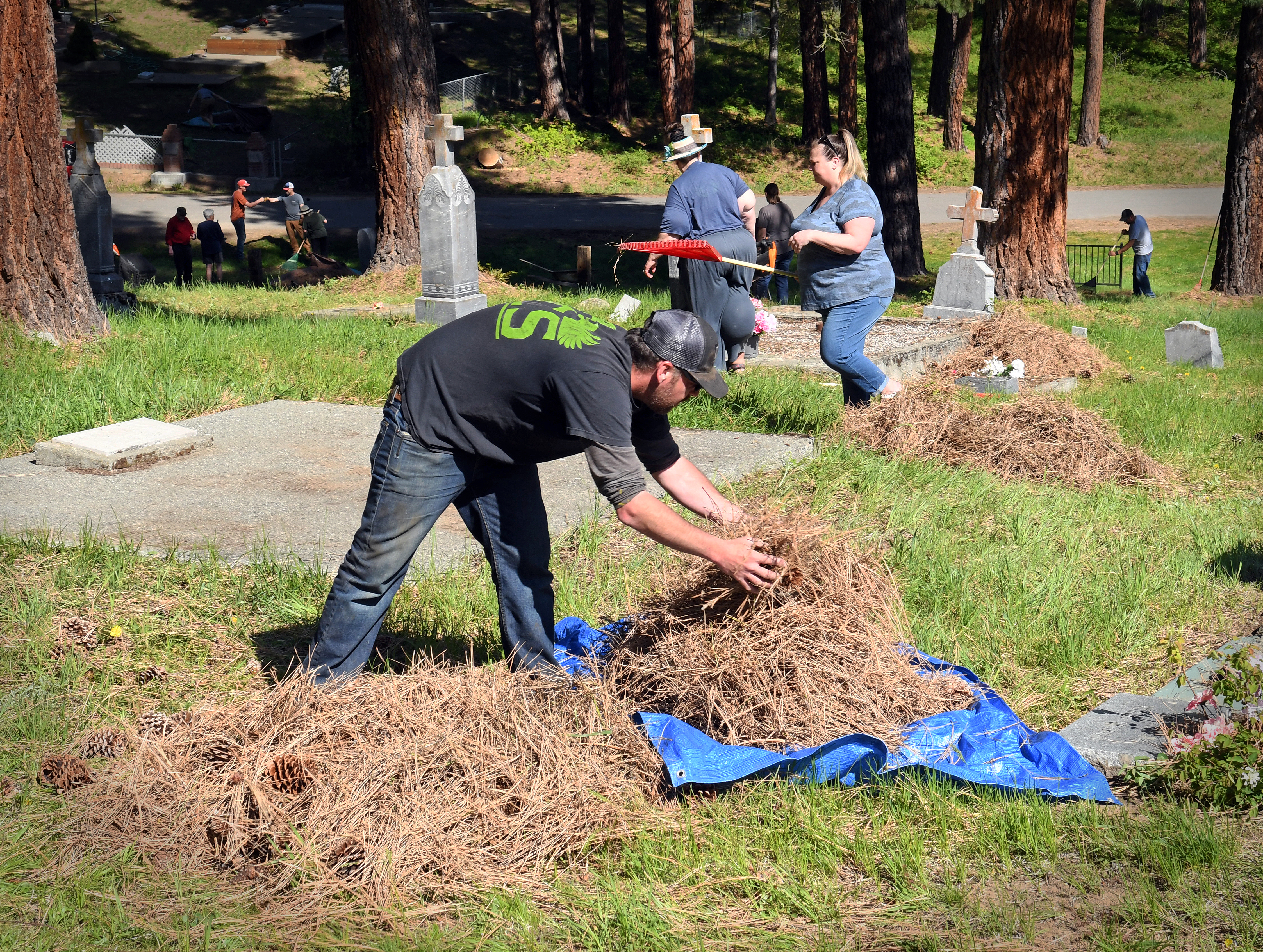 clean up 7 kyle stover and gini echoes collect needles and cones